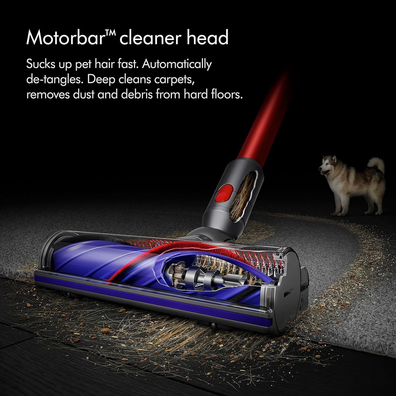 Dyson V10